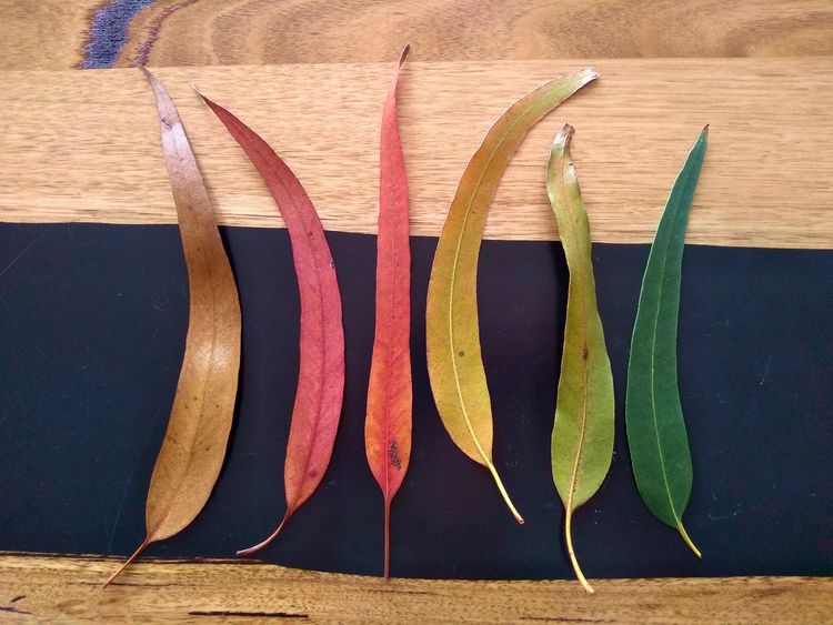 image-20230206125145-9