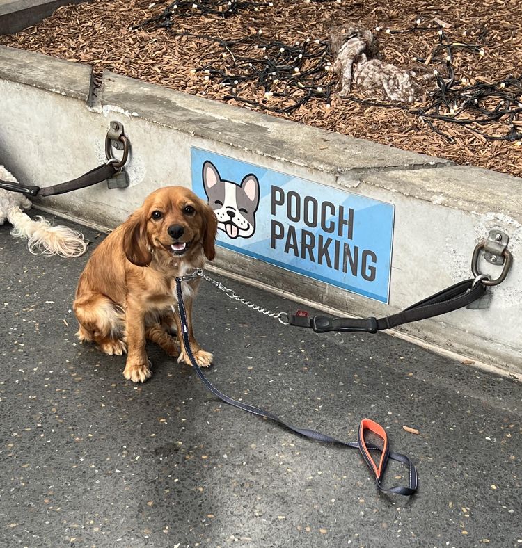 image-20230206125149-10