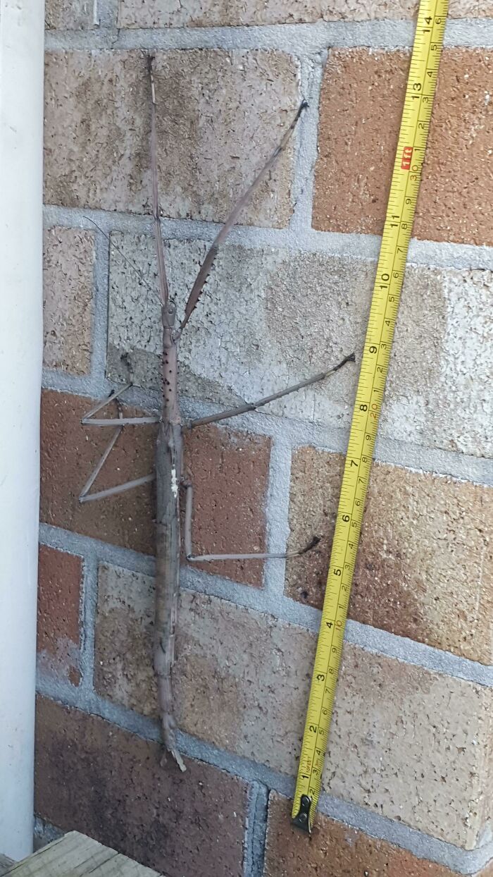 image-20230206125157-13