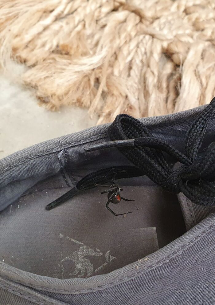 image-20230206125204-15