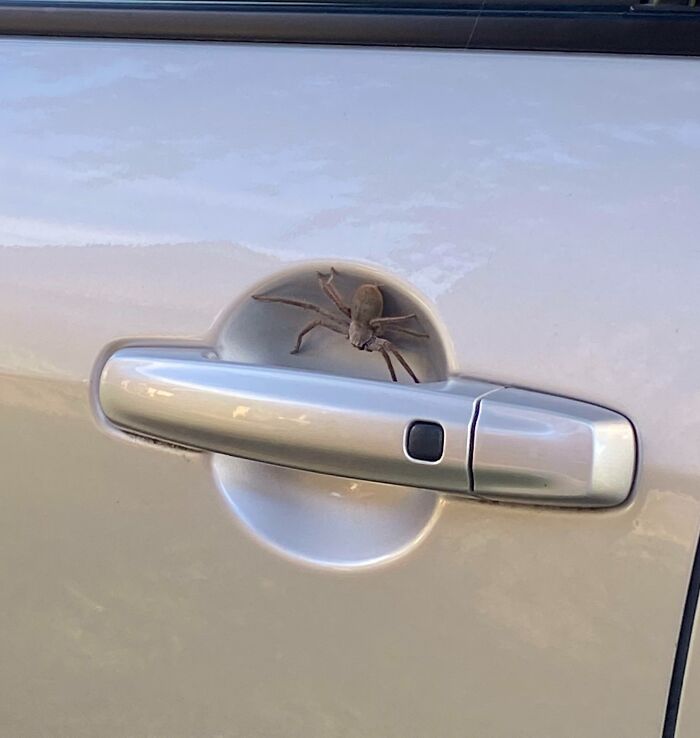 image-20230206125211-17