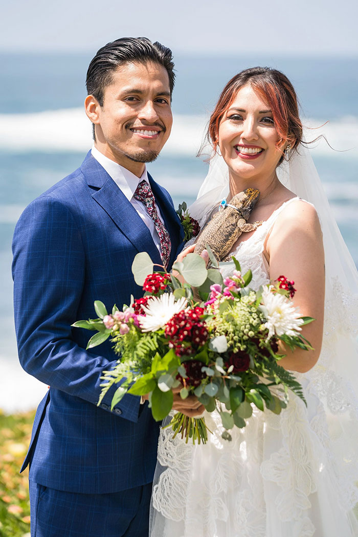 image-20230206161206-1