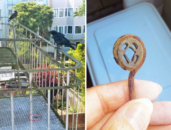 image-20230207125940-3