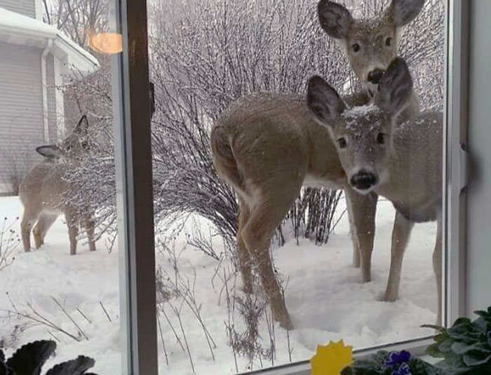 image-20230207125948-5