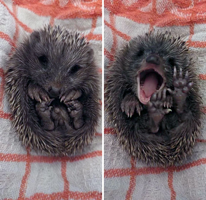 image-20230207125950-6