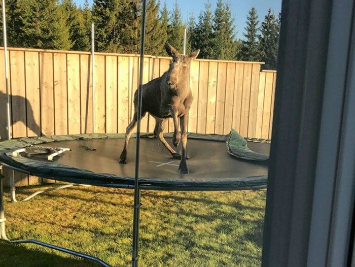 image-20230207125953-7