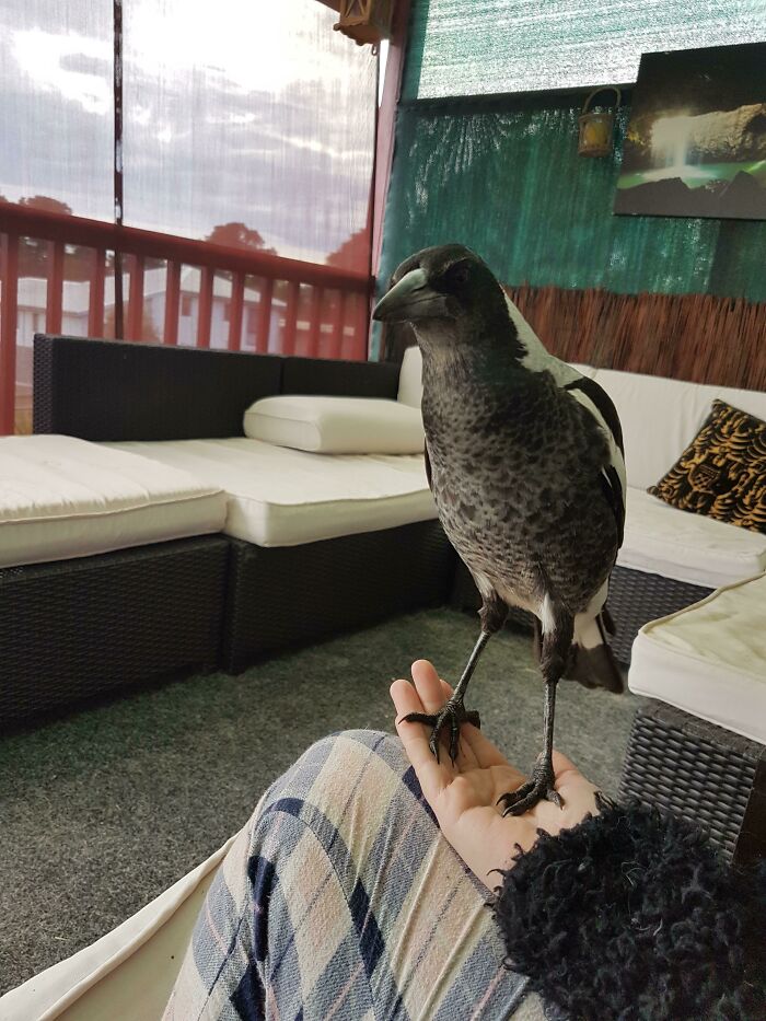 image-20230207130021-9