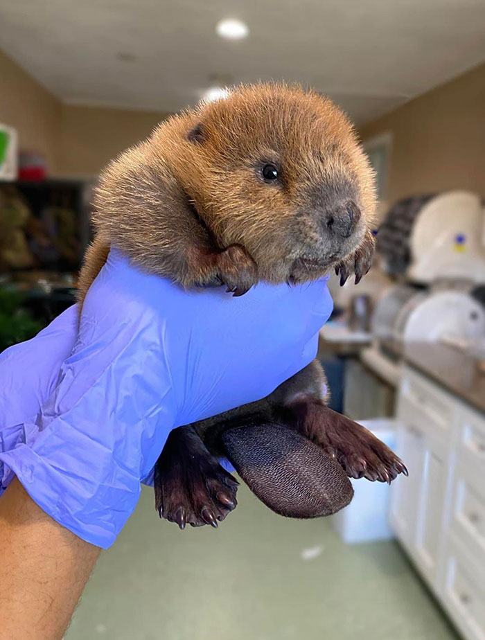 image-20230207130027-11