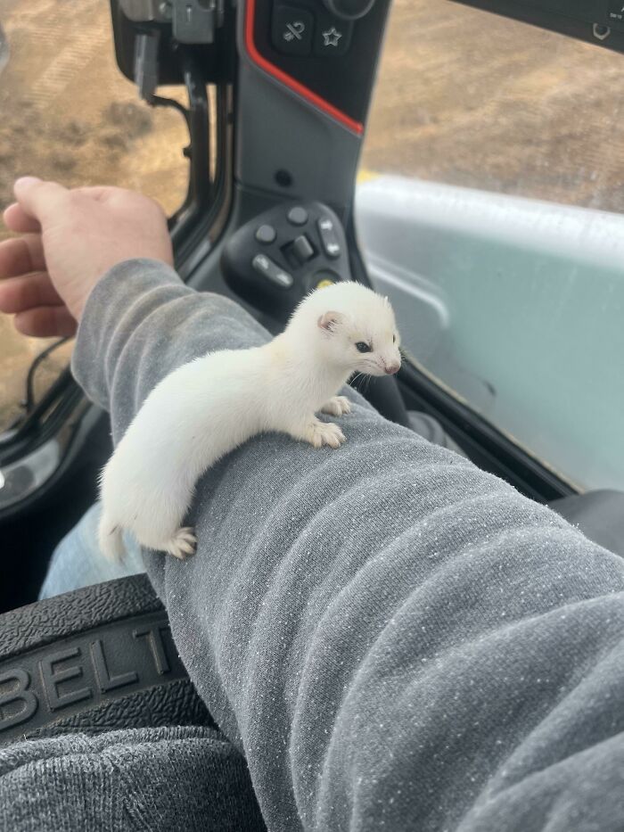 image-20230207130100-14