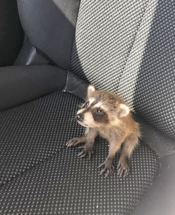 image-20230207130110-16