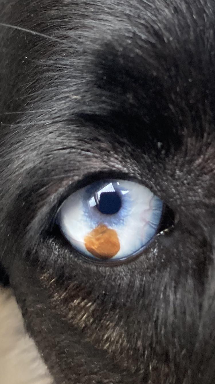 image-20230207155449-13