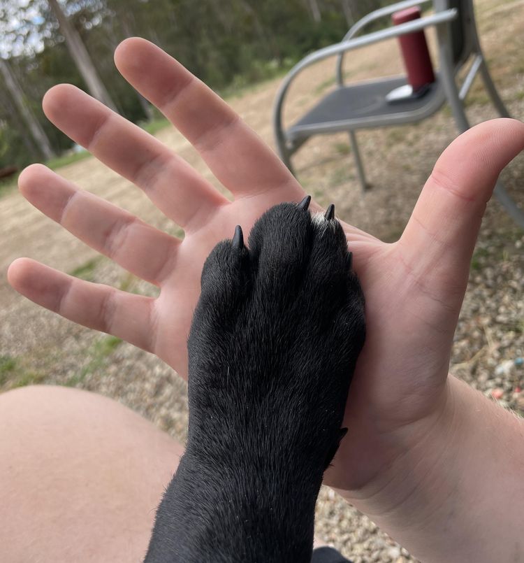 image-20230207191451-15