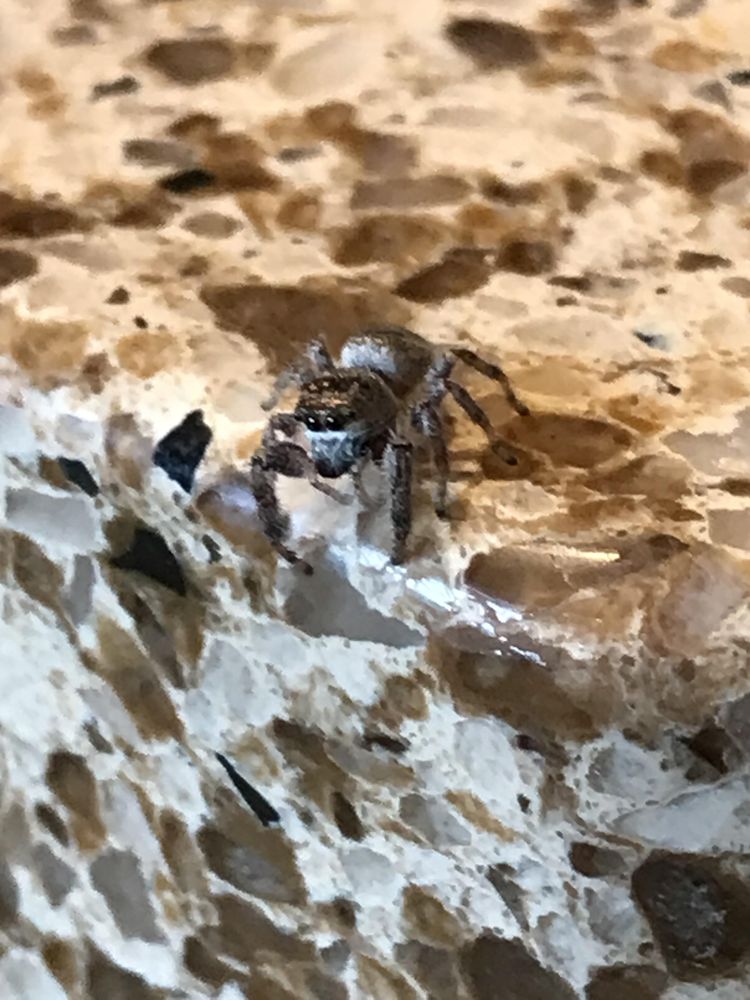 image-20230210170905-1