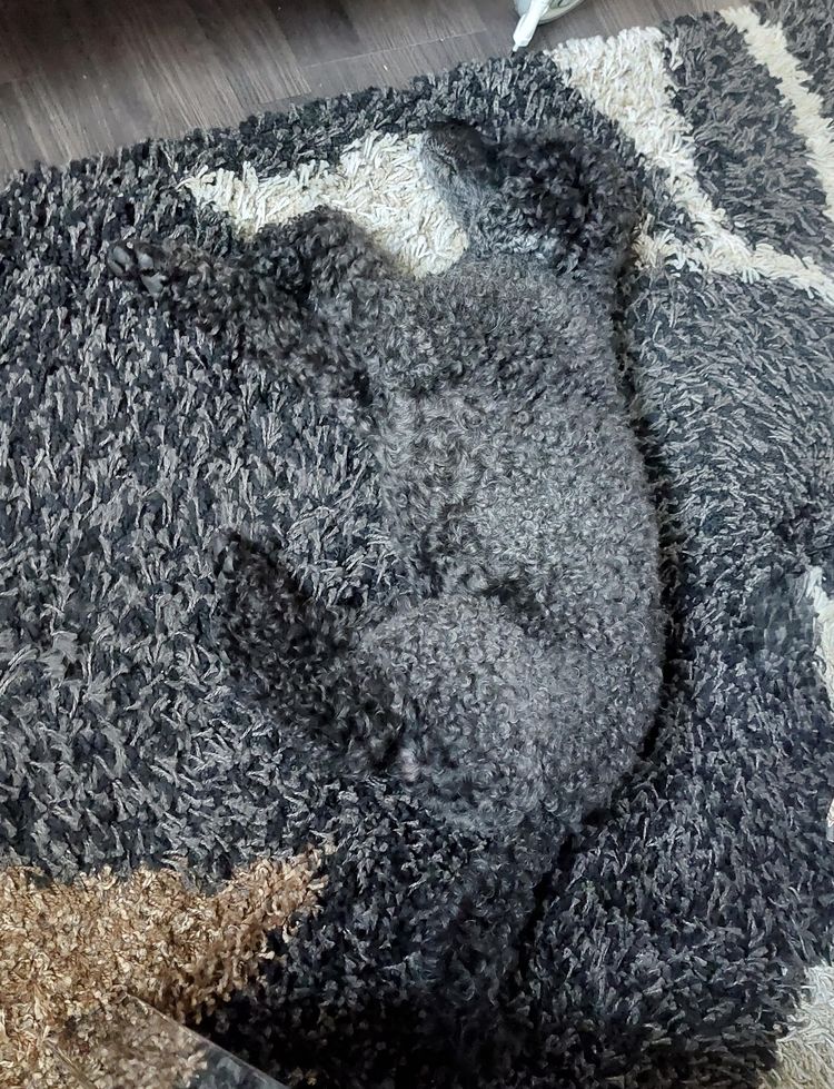 image-20230210171009-14