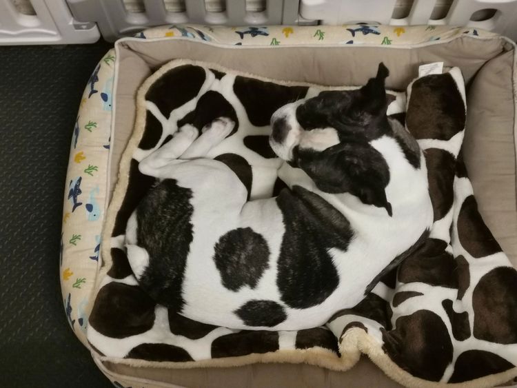 image-20230210171017-17