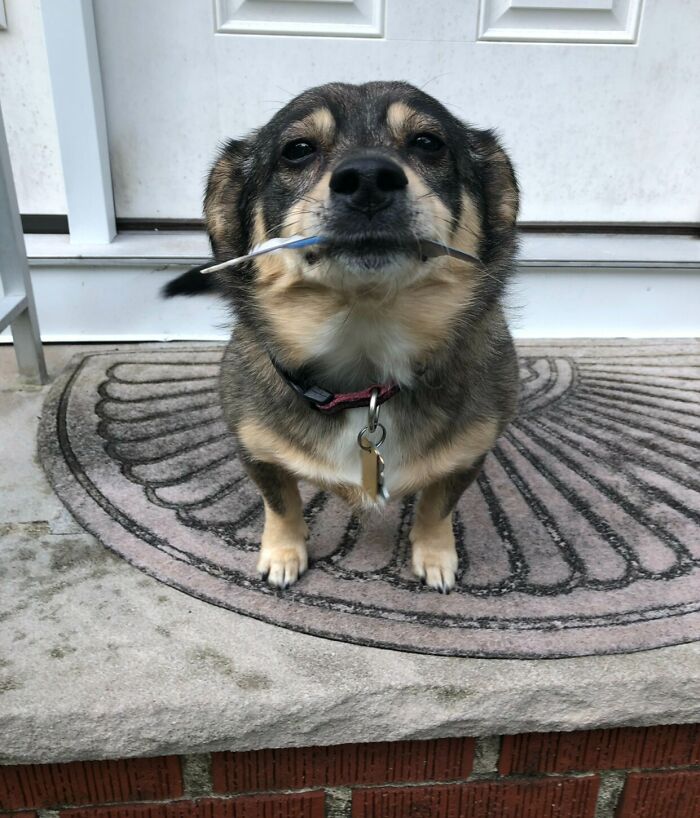 image-20230213162214-2