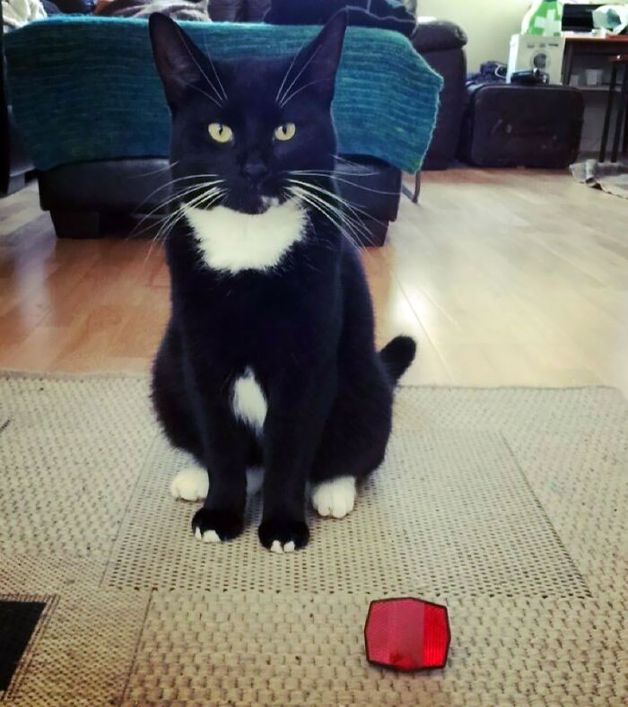 image-20230213162224-5