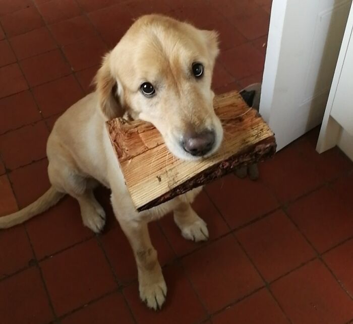 image-20230213162226-6