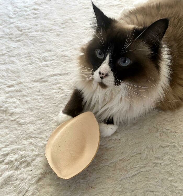 image-20230213162238-9