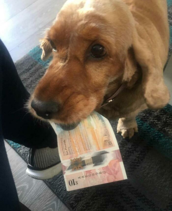 image-20230213162242-10