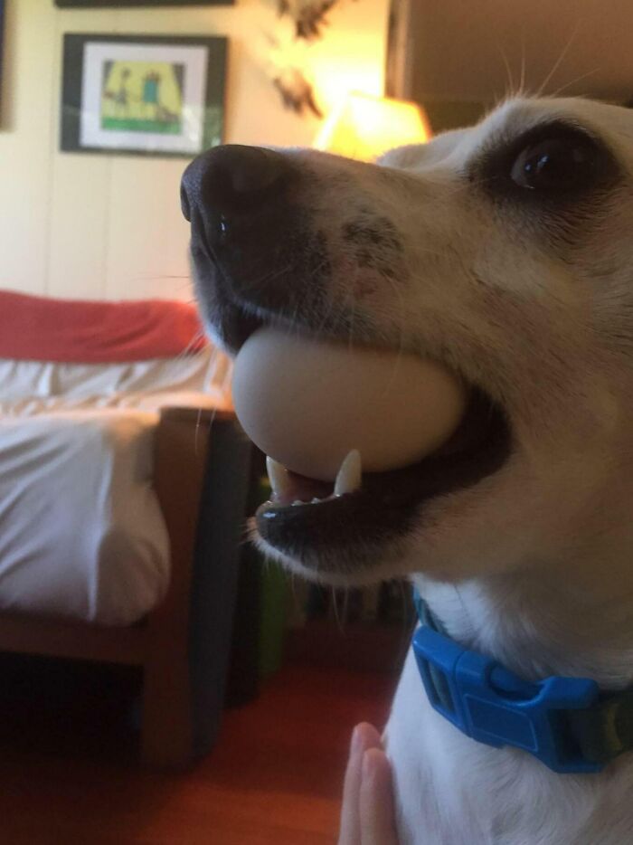 image-20230213162254-14