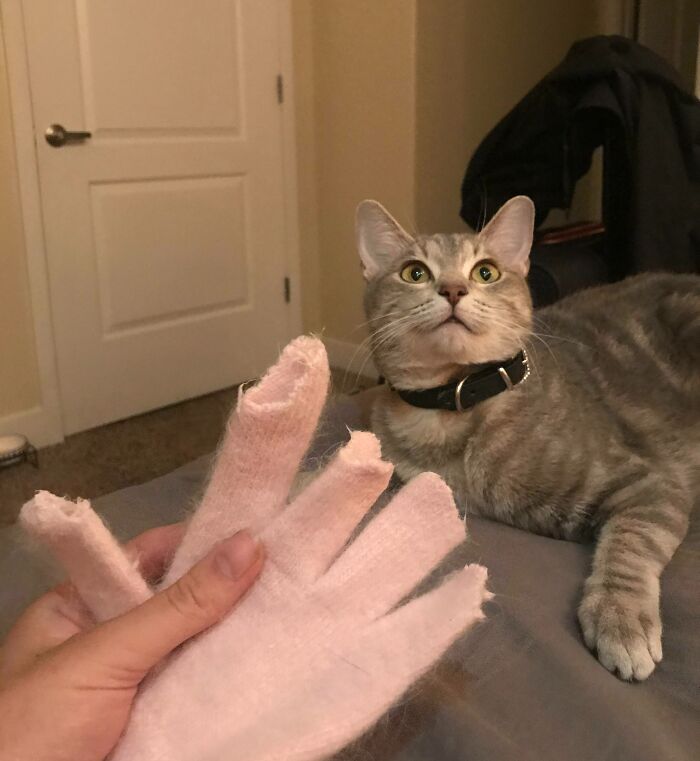 image-20230213162257-15