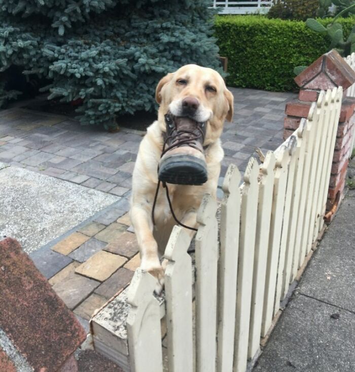 image-20230213162259-16