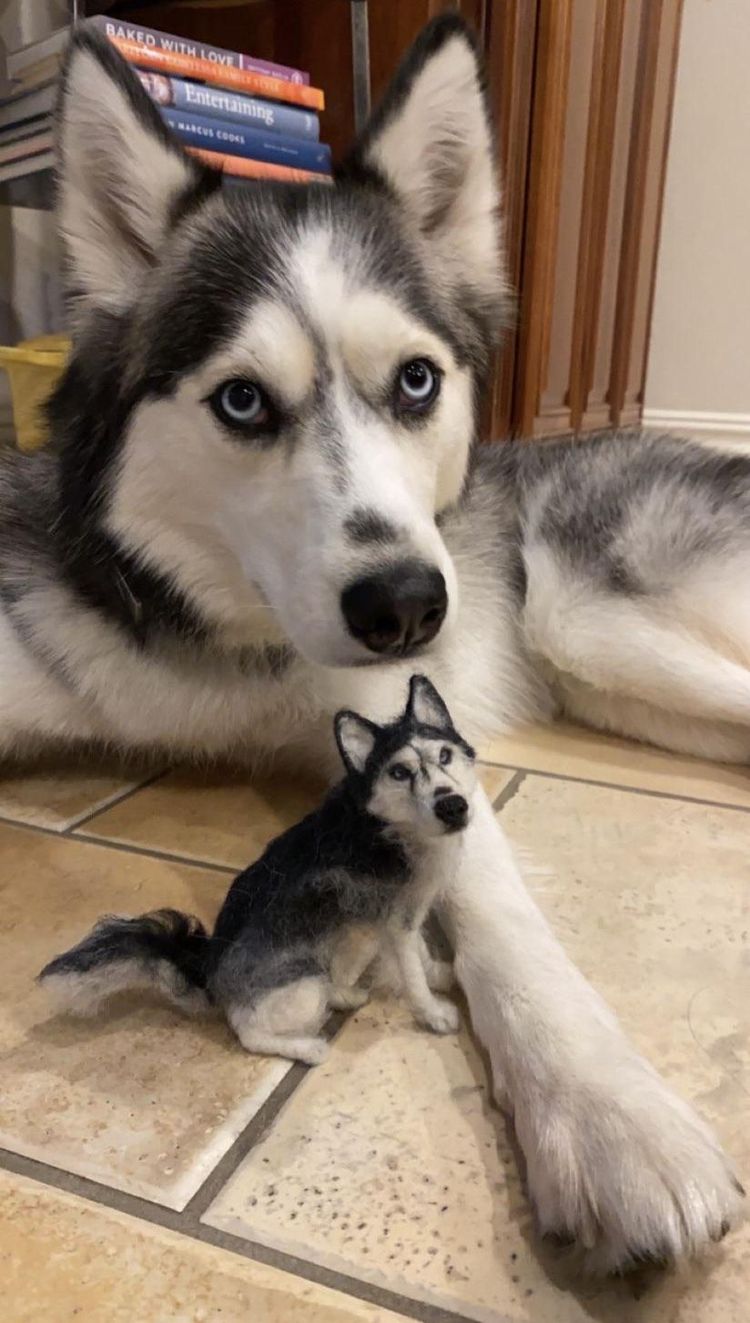 image-20230214110448-11