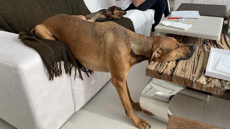 image-20230214152311-1