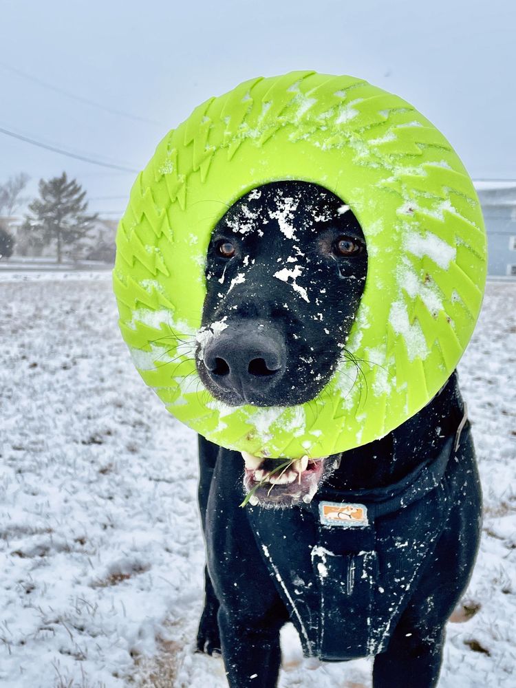 image-20230214152317-3