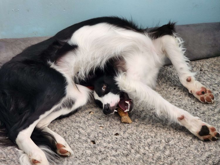 image-20230214152324-5