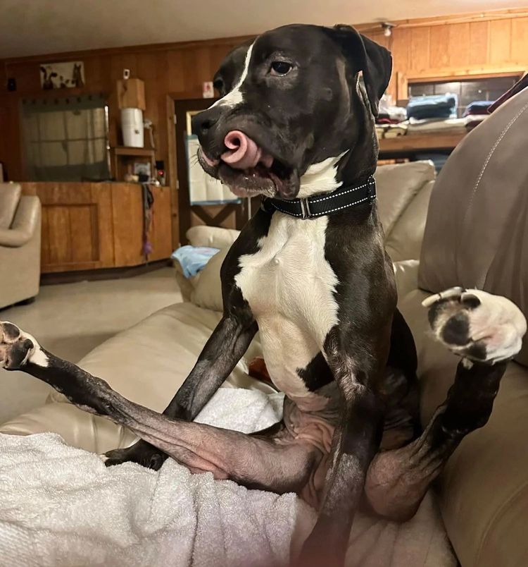 image-20230214152328-6