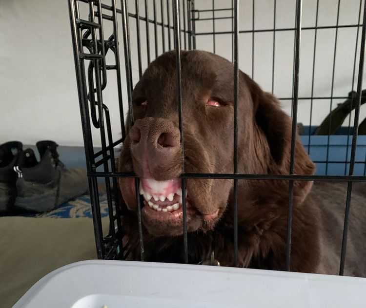 image-20230214152333-8