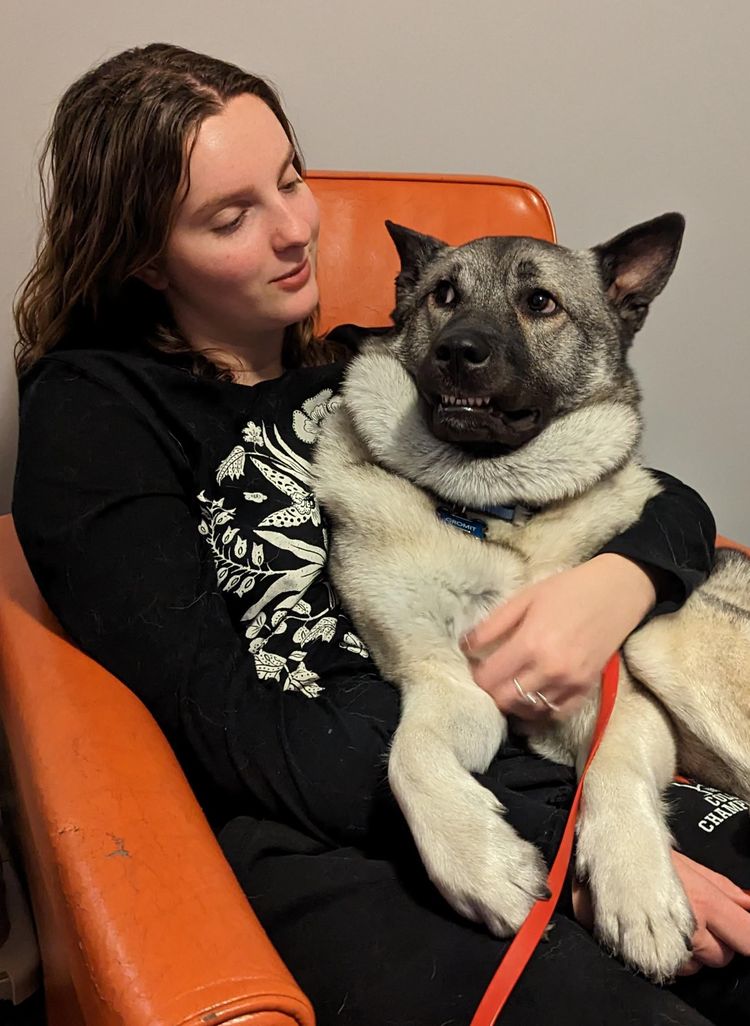 image-20230214152337-9