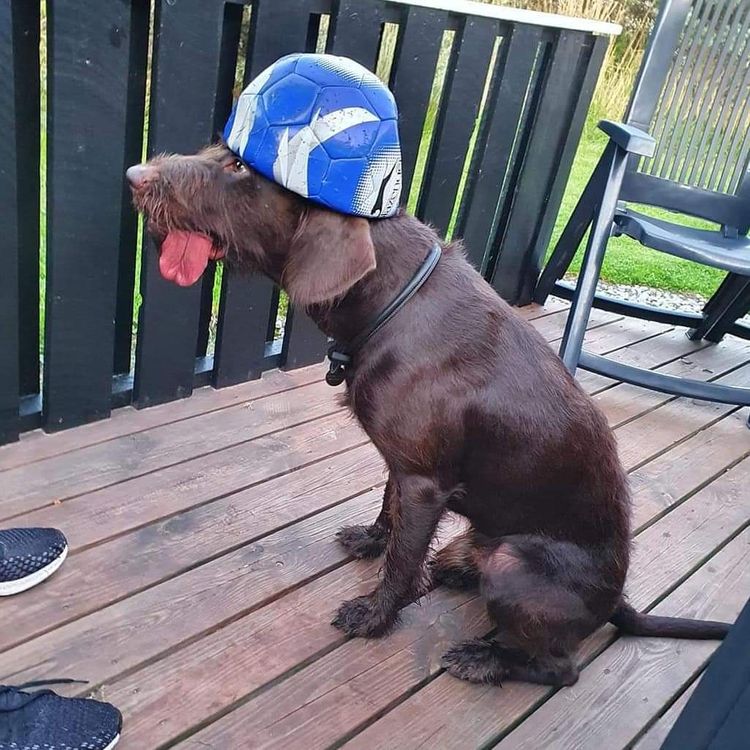 image-20230214152344-10