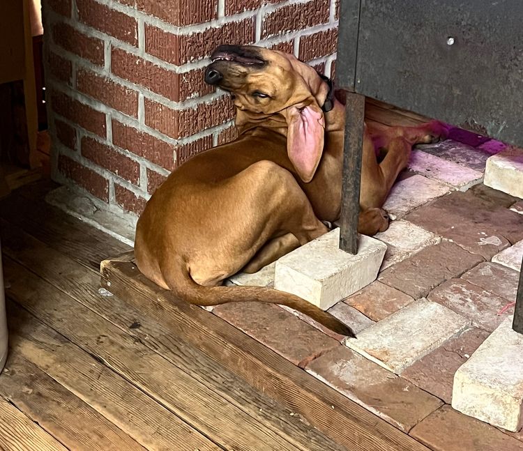 image-20230214152347-11