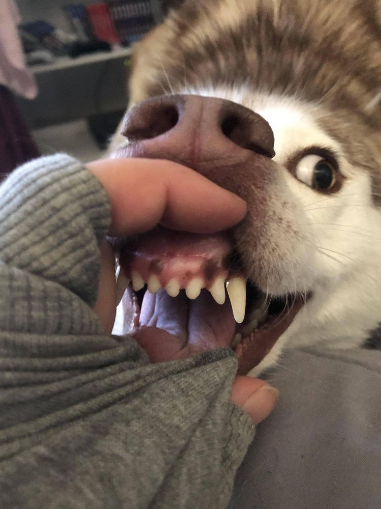 image-20230214152349-12