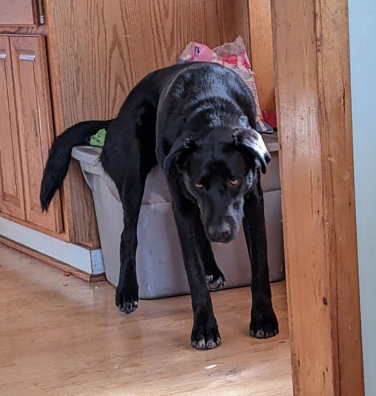 image-20230214152353-13