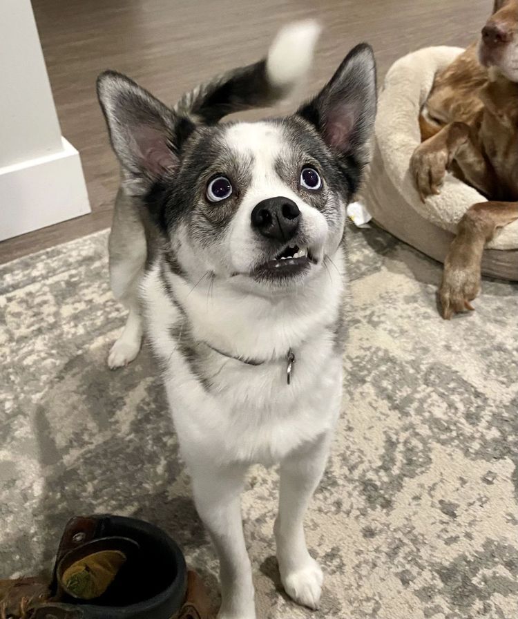 image-20230214152356-14