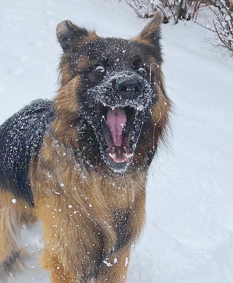 image-20230214152358-15