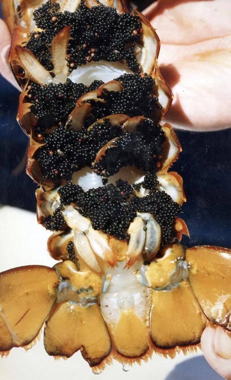 image-20230215151416-2