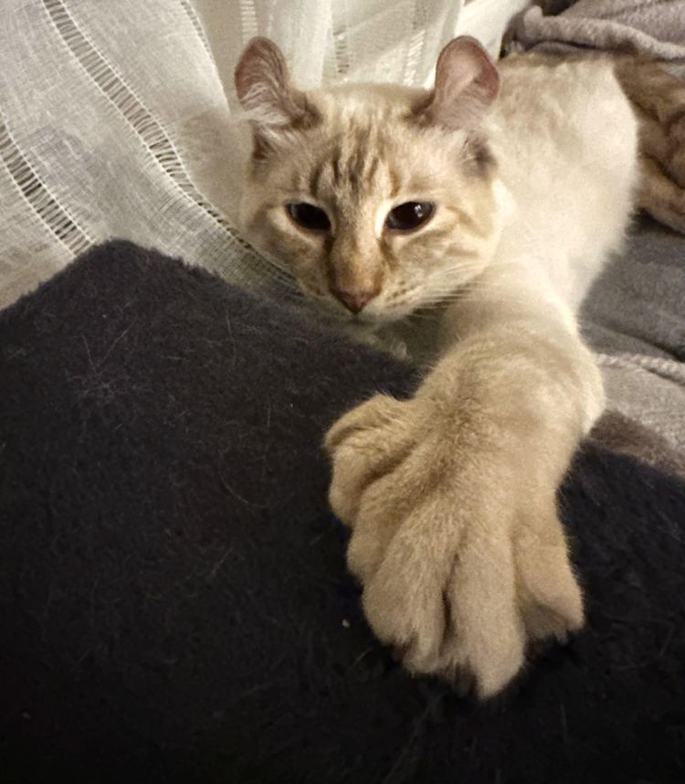 image-20230215151427-5