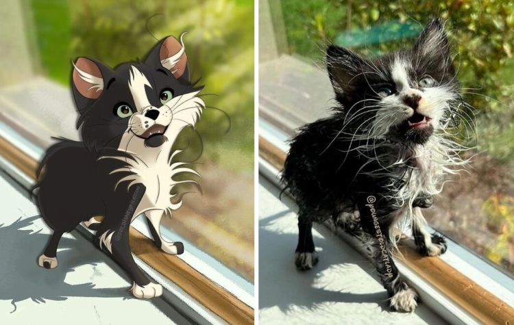 image-20230216121851-1