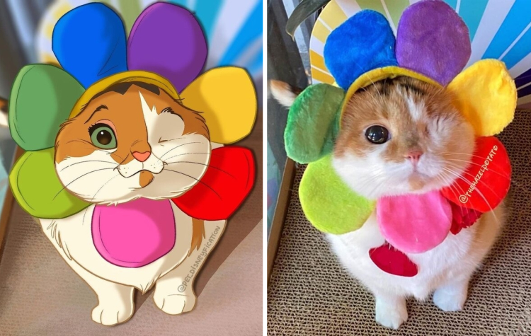 image-20230216121857-3