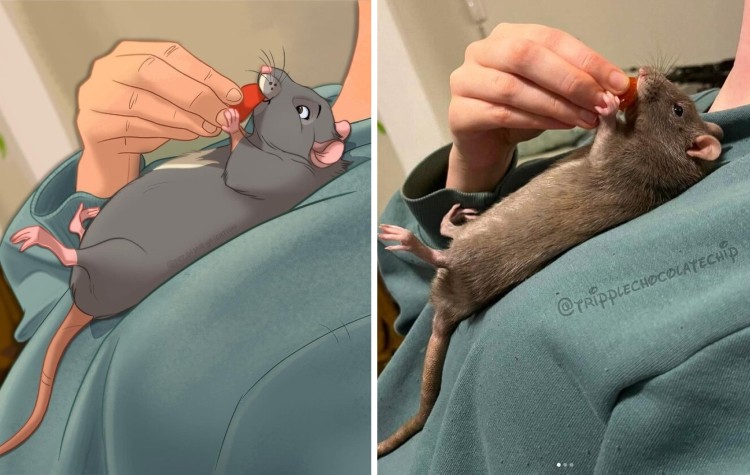 image-20230216121900-4