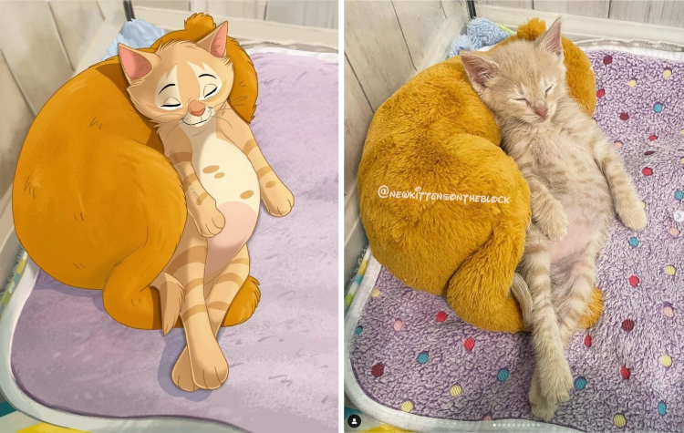 image-20230216121903-5