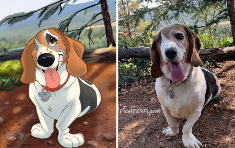 image-20230216121906-6