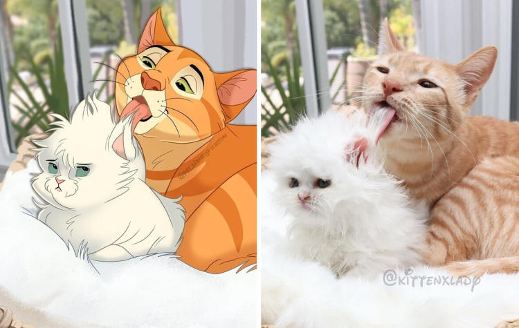 image-20230216121909-7