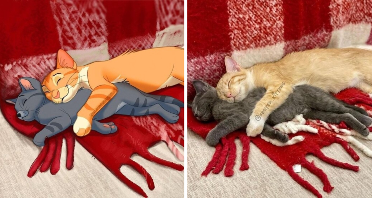 image-20230216121920-11