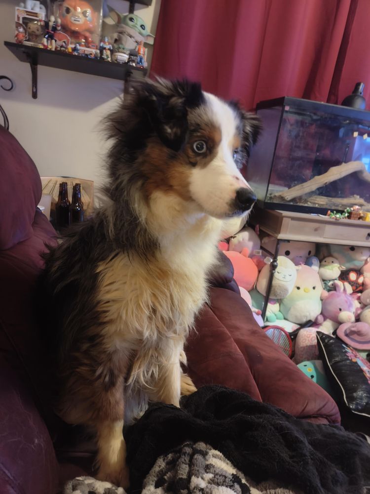 image-20230216132348-1